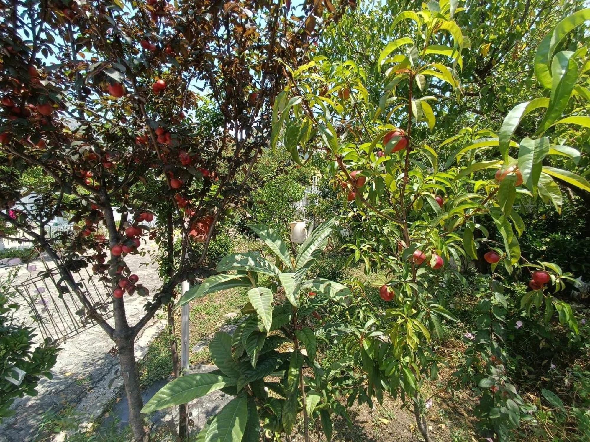 Irene'S Home Igoumenitsa Exterior photo